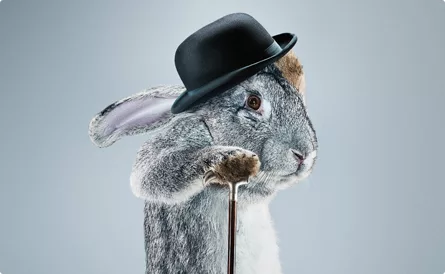 Playboy